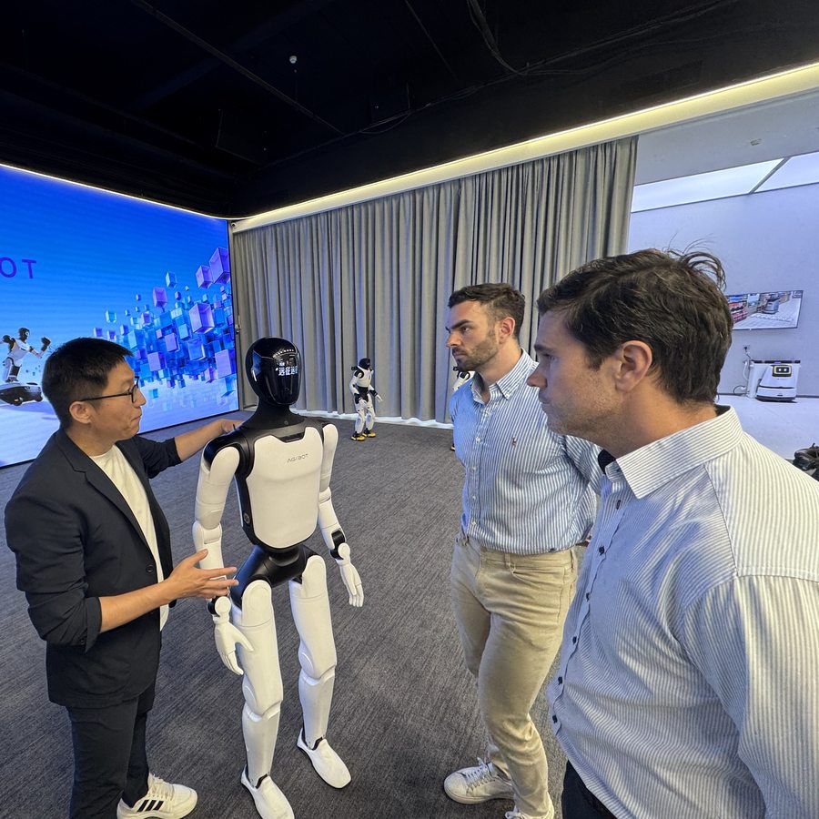 AI consulting and capital — company visit